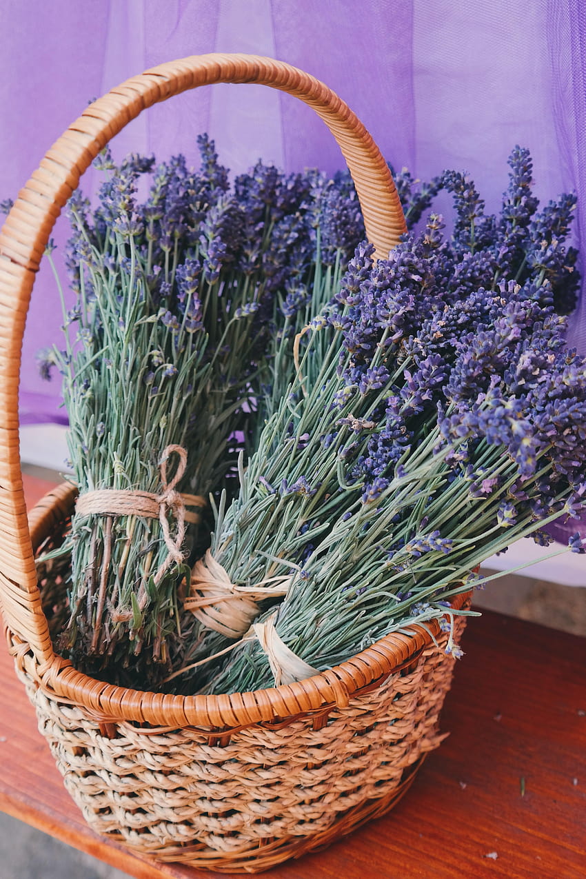 Lavender Flowers in Woven Basket · Stock, basket of lavender HD phone wallpaper