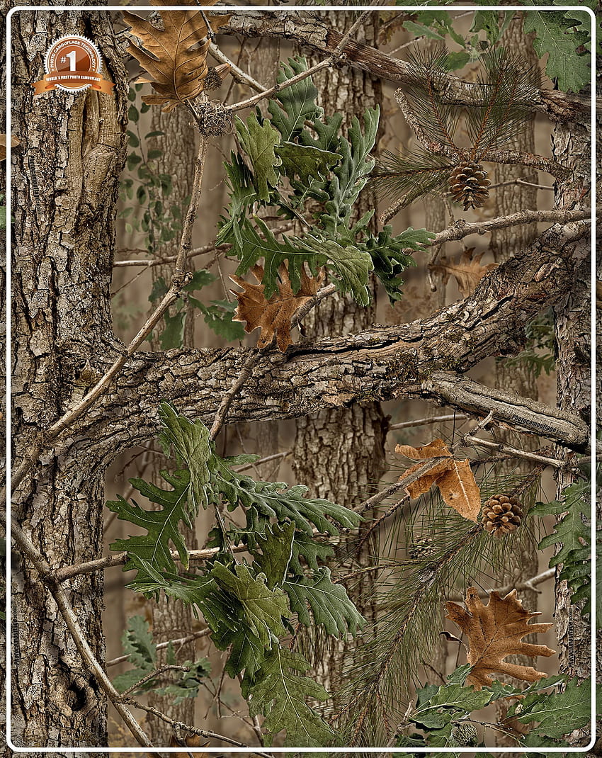 Padrões de camuflagem de caça, melhor camuflagem para caça ao peru Papel de parede de celular HD