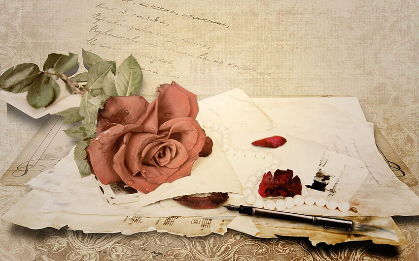 old rose ,pink,flower,floral design,pattern,rose HD wallpaper