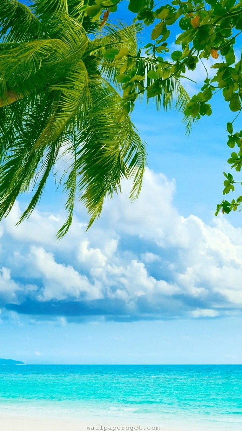 Page 55 | caribbean for HD wallpapers | Pxfuel