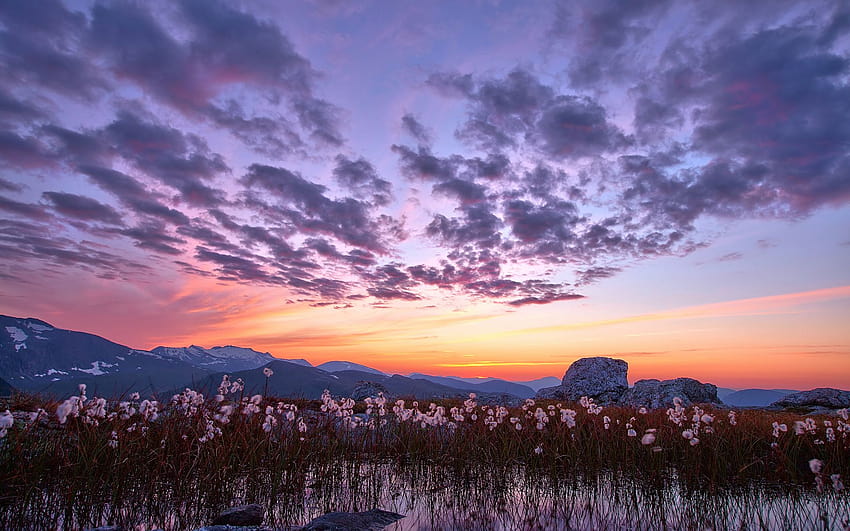 Природа пейзажи планини цветя растения езера вода отражение небе облаци залез изгрев цвят живописен, цветен зимен изгрев HD тапет