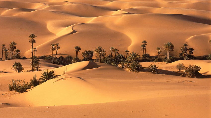 Beautiful Sahara Desert North Africa HD wallpaper