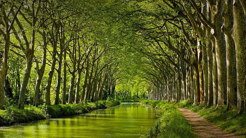 Spätfrühlings-Look am Canal du Midi in Toulouse, Haute HD-Hintergrundbild