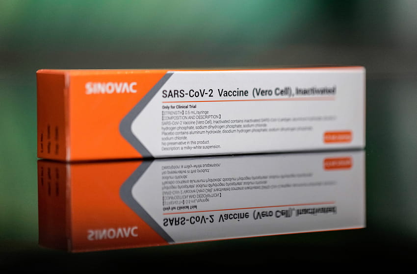 Pfizer предоставя ваксина срещу COVID, sinovac covid 19 HD тапет