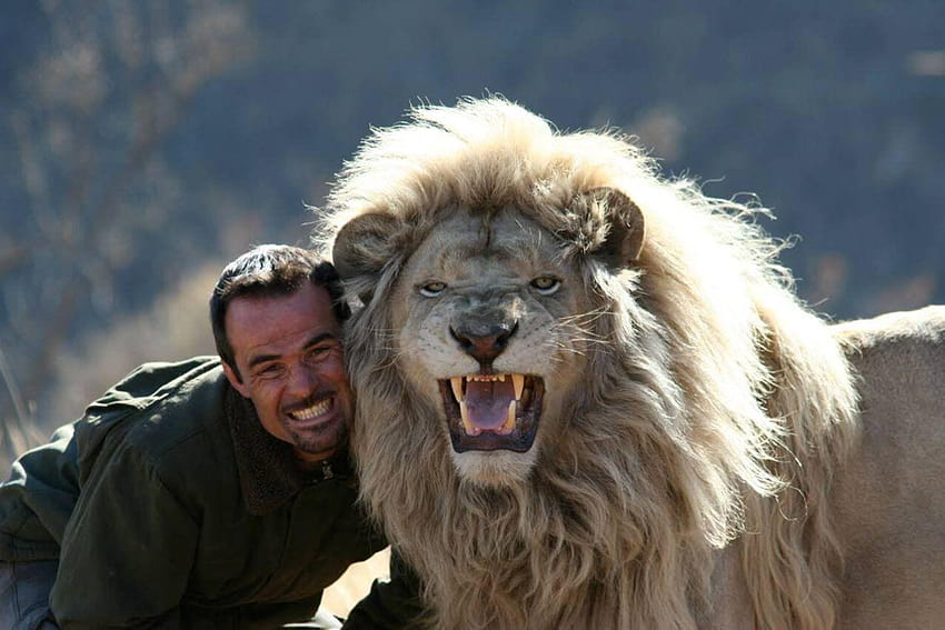 Kevin Richardson, The Man Who Bonds With Lions [Pics] HD wallpaper