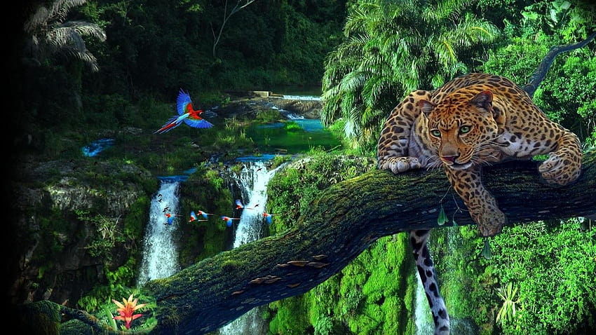 Amazonas-Dschungel, Amazonas-Fluss HD-Hintergrundbild