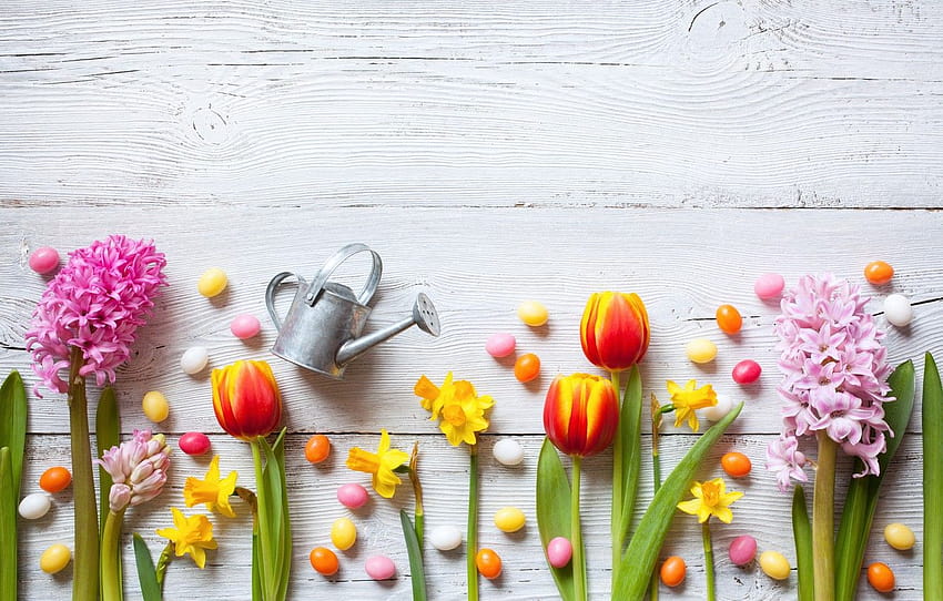 flowers, spring, colorful, Easter, crocuses, tulips, colorful crocuses HD wallpaper