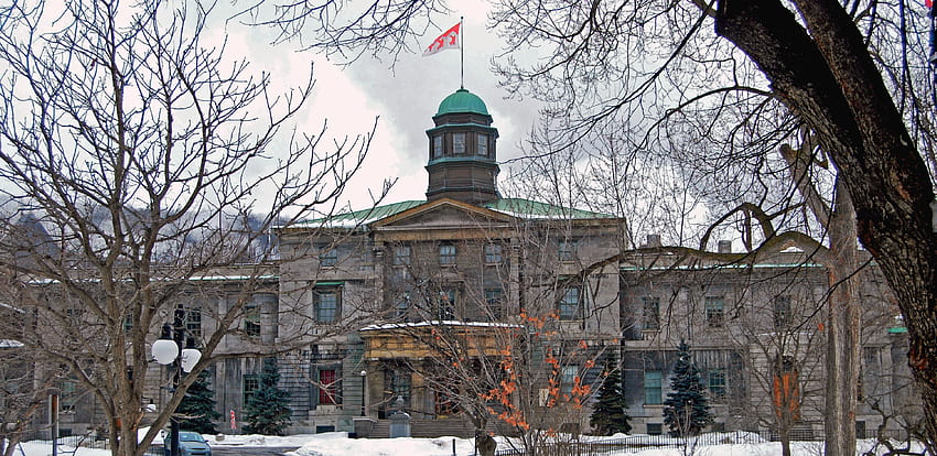 Файл: McGill Arts Building2.jpg, университет Макгил HD тапет