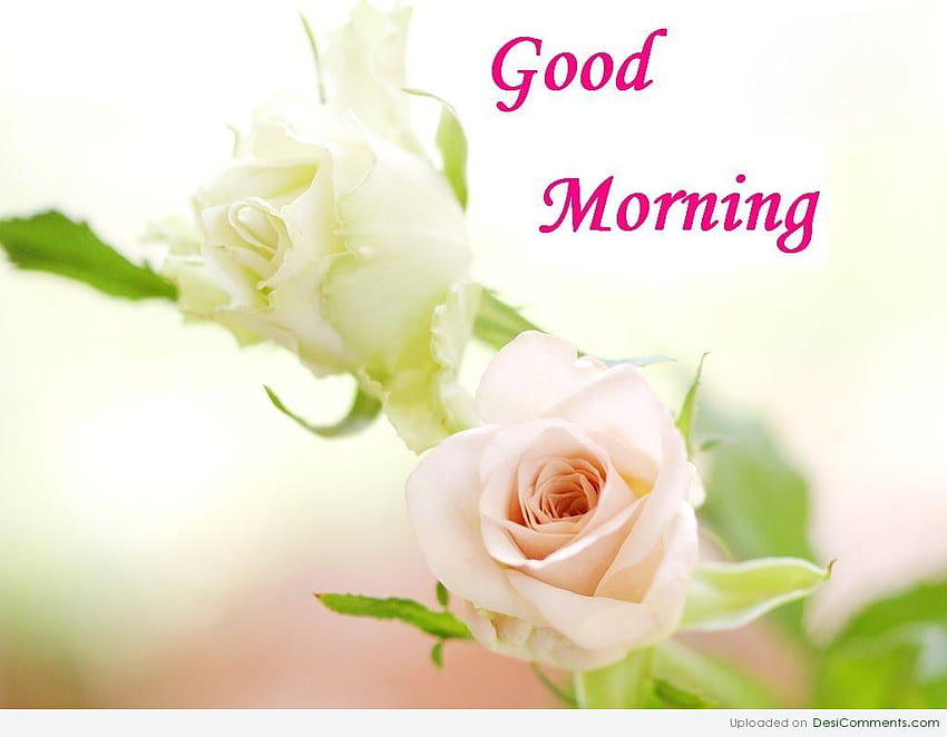 Good Morning Graphics Cute Good Morning Hd Wallpaper Pxfuel