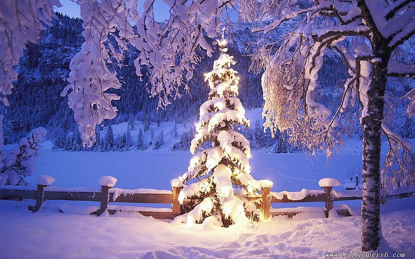 сняг коледно дърво светлини коледа зима － пейзаж ... www.desk7, пейзаж коледно дърво HD тапет