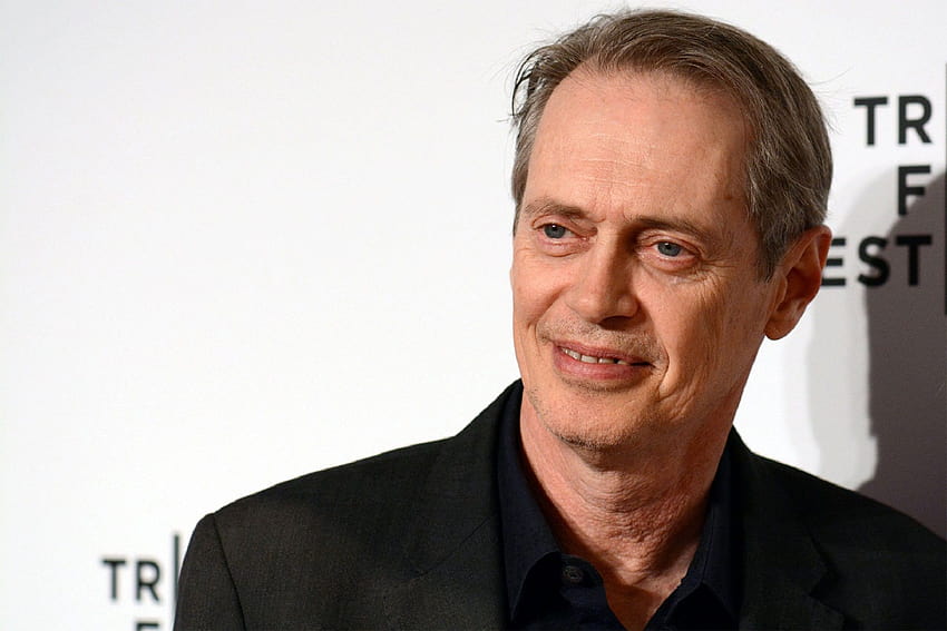 Steve Buscemi For Computer HD wallpaper Pxfuel