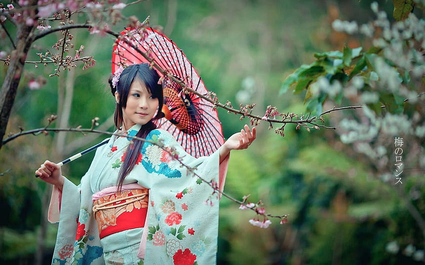 Japanisches Mädchen-Kimono-Grün, japanischer Damen-Regenschirm HD-Hintergrundbild