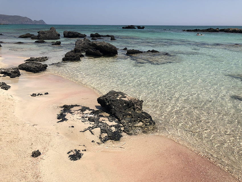 エラフォニッシ ビーチ: ピンク ビーチ クレタ島への旅行ガイド ~ 気まぐれな世界, エラフォニシ 高画質の壁紙