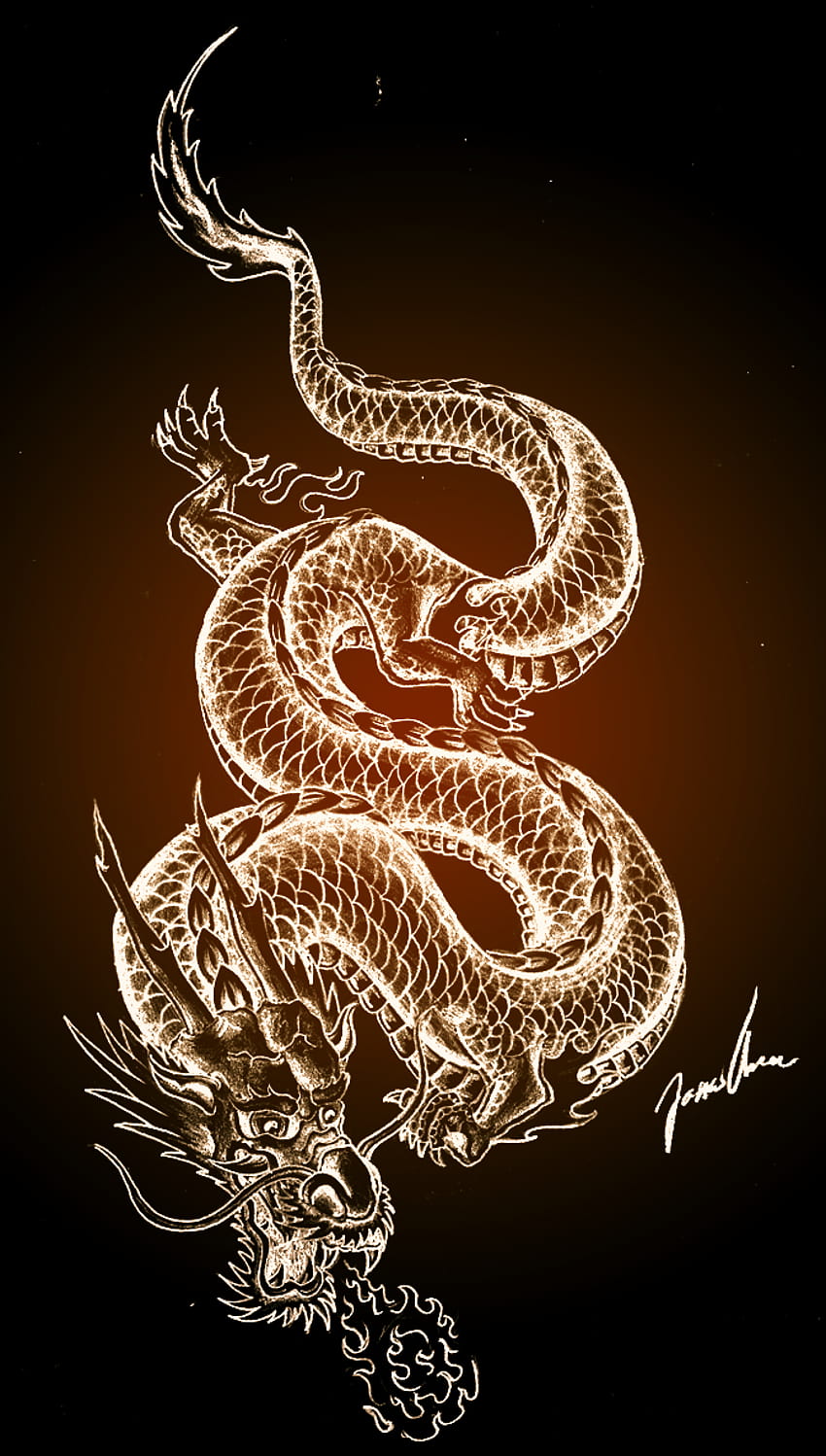 Aesthetic Dragon Hd Phone Wallpaper 
