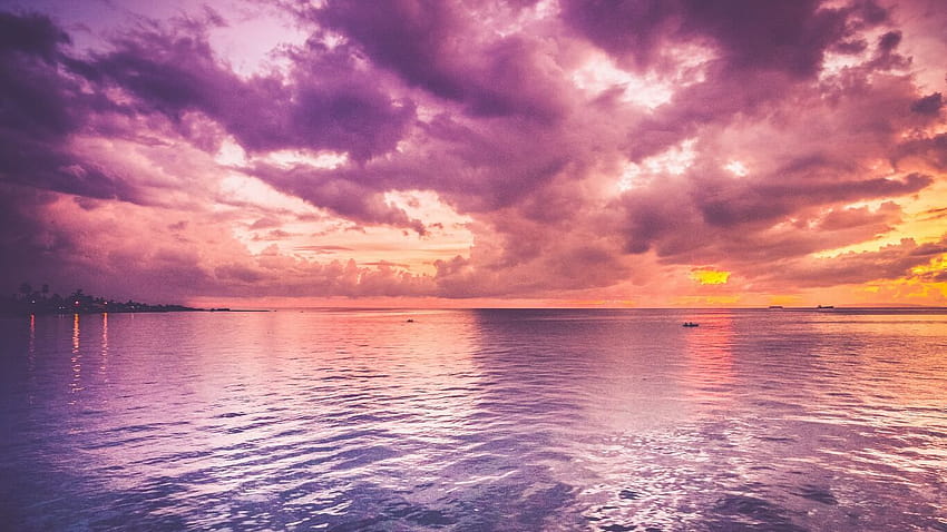 1366x768 美しい紫の海とピンクの地平線の日の出 高画質の壁紙