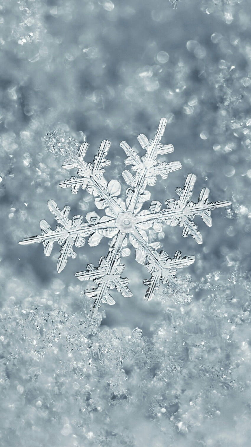 Kepingan salju ~ / layar kunci / latar belakang, musim dingin tercantik wallpaper ponsel HD