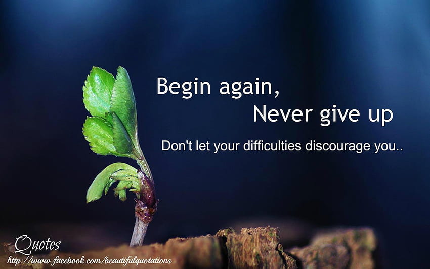 Never Give Up Motivational : Begin again, Never give up HD wallpaper