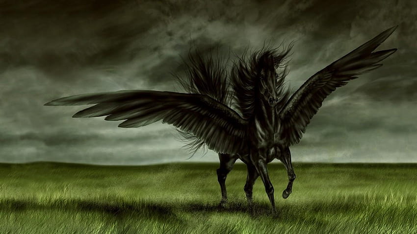 Black Knight On Black Horse Group with 8 items, jian birds that fly together HD wallpaper