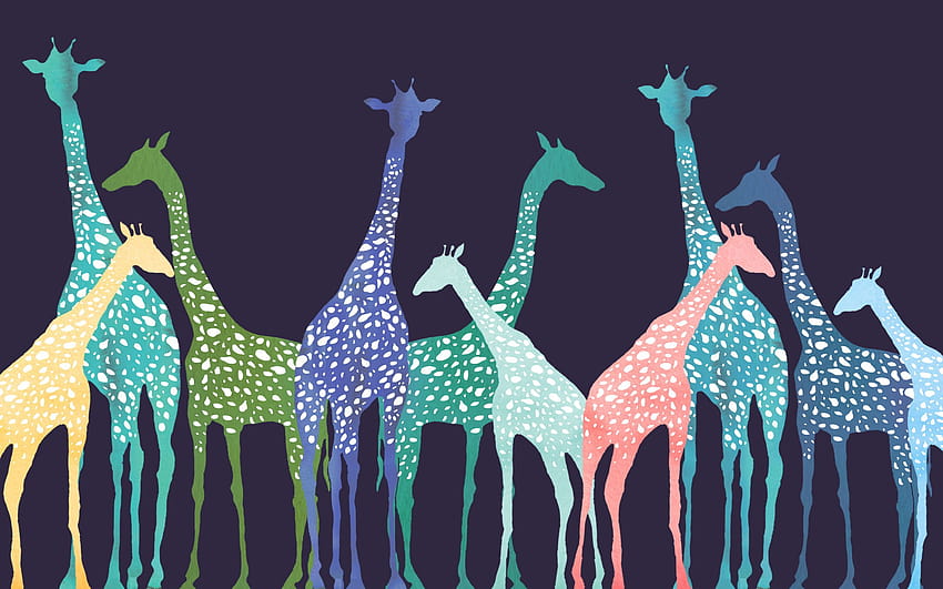 cute giraffe HD wallpaper