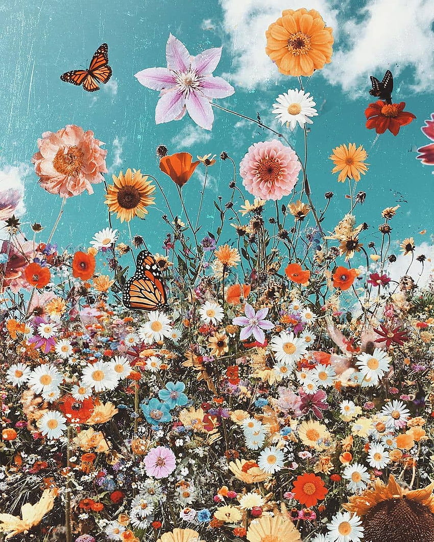 Pin on printed, flowers and butterfly aesthetic HD phone wallpaper