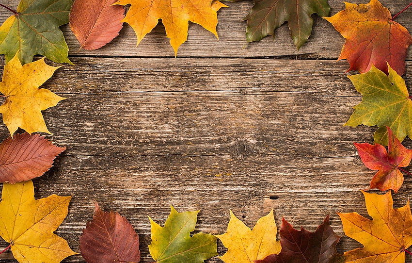 autumn, leaves, background, Board, colorful, maple, wood, autumn, leaves, frame, maple , section текстуры, autumn frame HD wallpaper