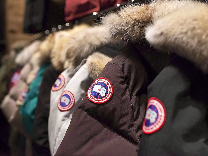 Canada Goose Commits to No New Fur By 2022, But Parkas Still Full of Goose Down HD wallpaper