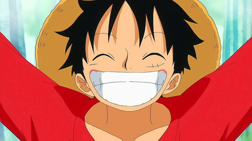 One Piece Luffy Smile Tapeta HD