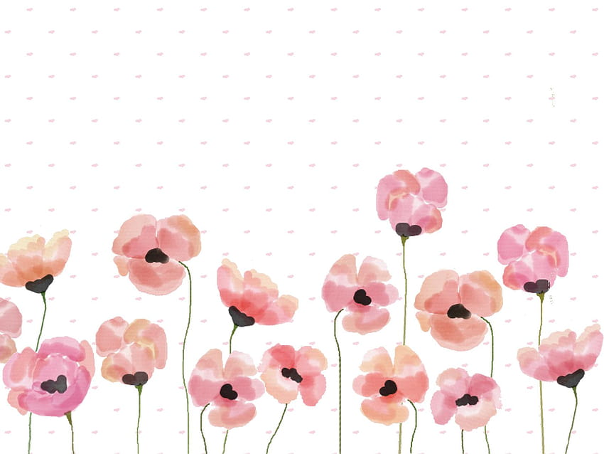 Pink watercolour poppy – Make and Tell, relax a little HD wallpaper