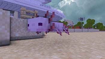New Mobs Coming To Minecraft: Glow Squid, Axolotls, The Warden And ...