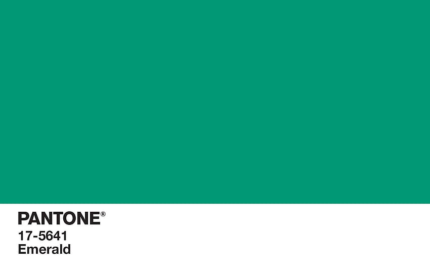 Kolor Pantone, kolor zielony Tapeta HD