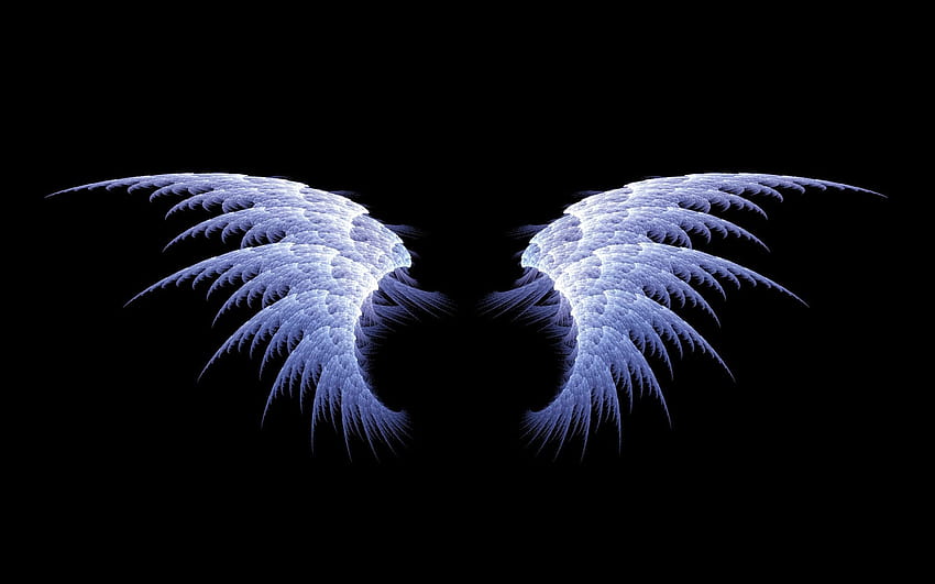 Wings , Angel wings ...pinterest HD тапет
