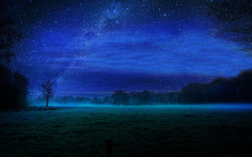 夜、星、野原、霧 ::、野原の夜 高画質の壁紙