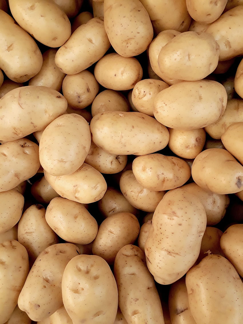 of Pile Of Potatoes · Stock, potato iphone HD phone wallpaper