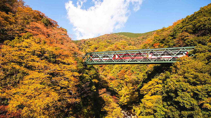 Warna Musim Gugur di Hakone: 7 Tempat untuk Dikagumi Musim gugur dengan segala pemandangan danau di akhir musim gugur Wallpaper HD