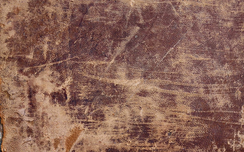antika deri kitap kapağı dokusu, kitap kapakları HD duvar kağıdı
