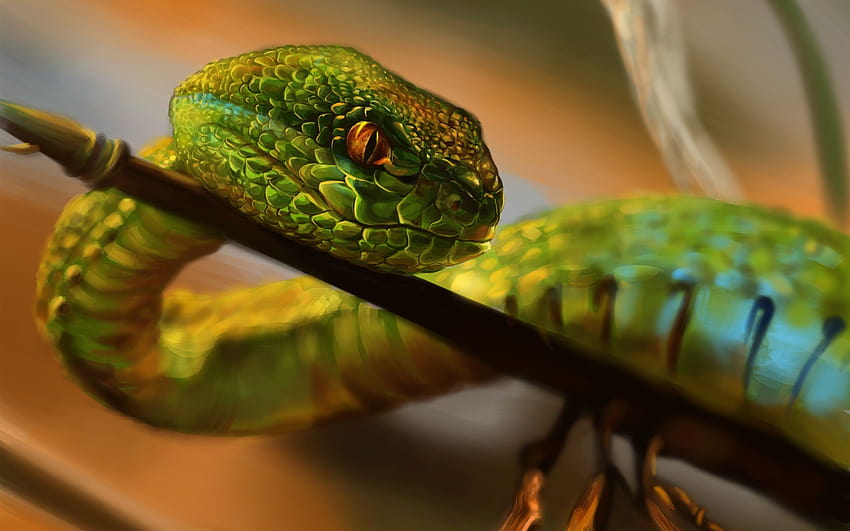 Page 78, snake with HD wallpapers