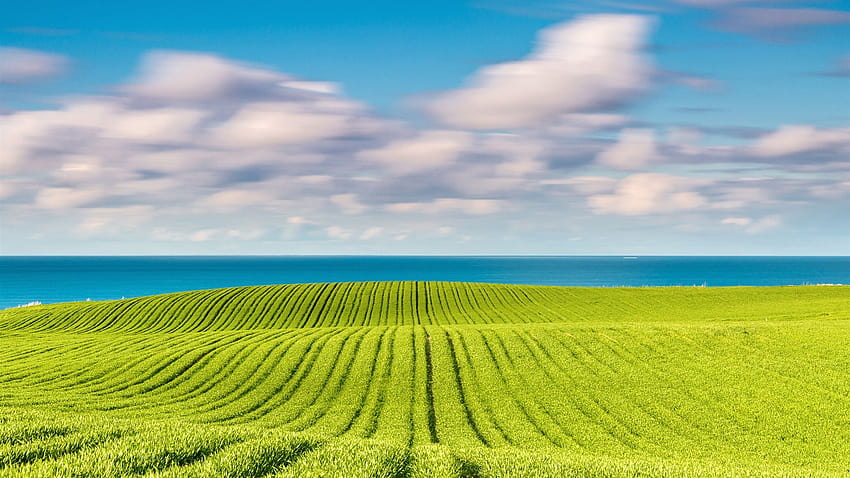 Baltic sea, spring in May, green fields 1920x1200, may spring HD wallpaper