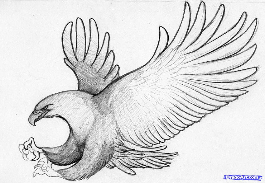 Hand drawn realistic bird sketch graphic Vector Image