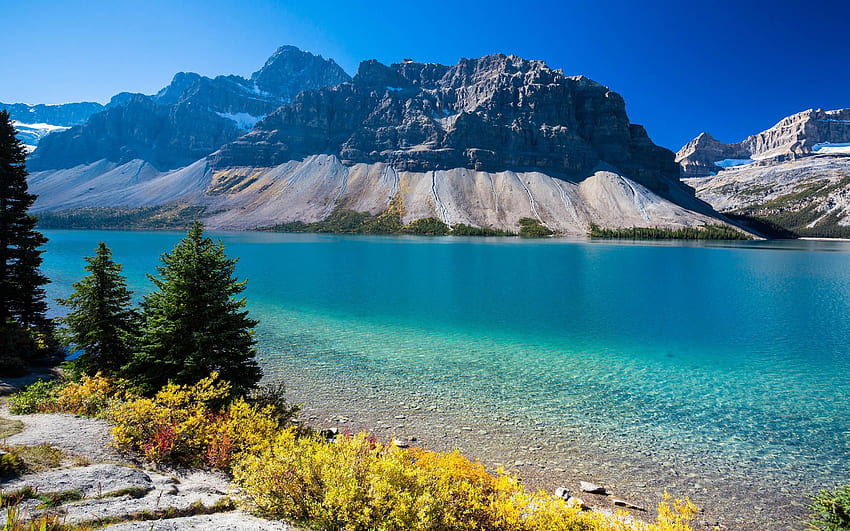 カナダ アルバータ州西部のボウ湖 ターコイズ ブルーの水 ロッキー マウンテン、ロッキー マウンテン 春 高画質の壁紙