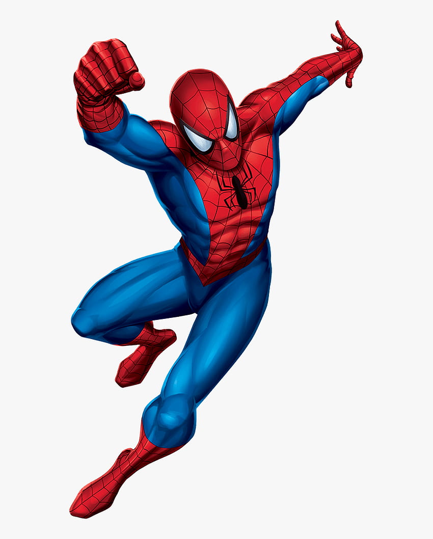 Of Drawing Spiderman Cartoon, all spider man cartoon HD phone wallpaper |  Pxfuel
