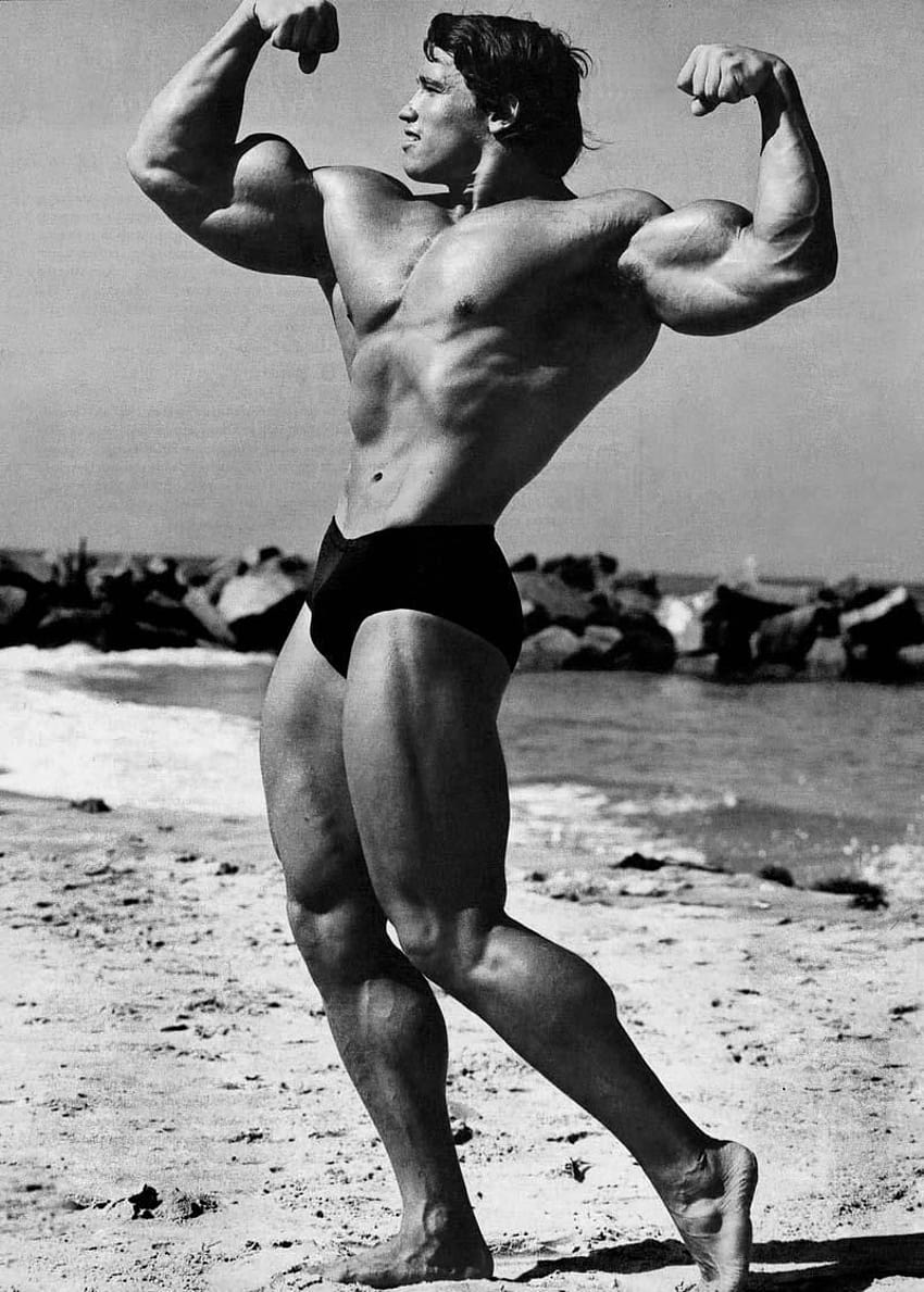 They are back in stock! Grab... - Frank Zane - 3X Mr. Olympia | Facebook