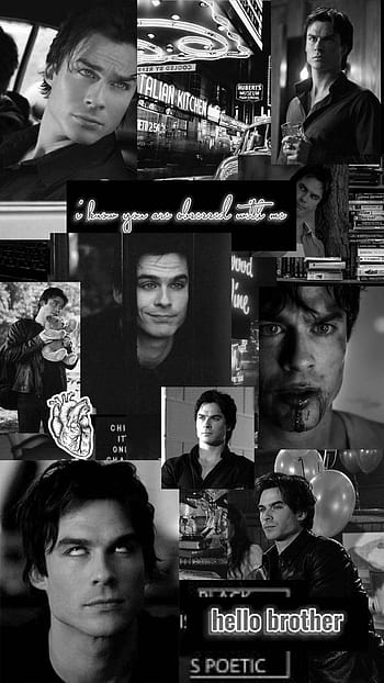 Vampire Diaries Damon Salvatore Wallpaper