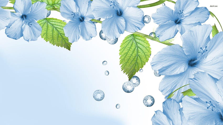 3 Blue Flowers HD wallpaper | Pxfuel