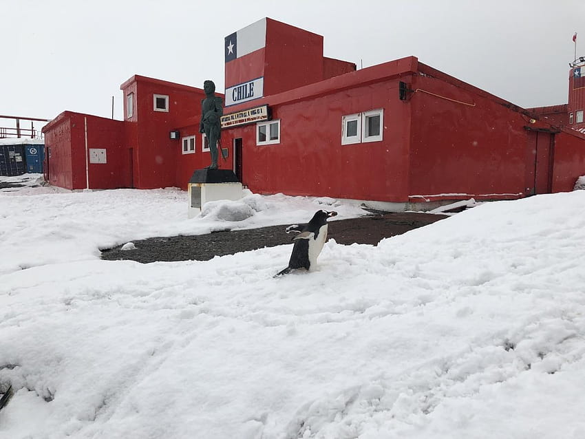 Die chinesische Ausbeutung natürlicher Ressourcen in der Antarktis ist besorgniserregend, Basisgeneral Bernardo Ohiggins HD-Hintergrundbild
