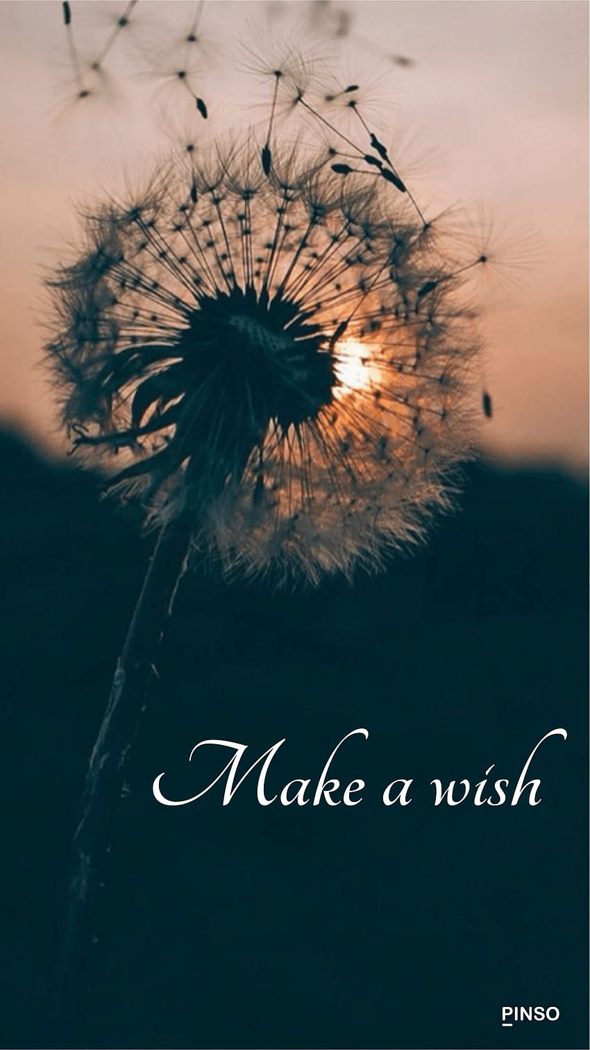Make a wish. made by me on Pinso HD phone wallpaper