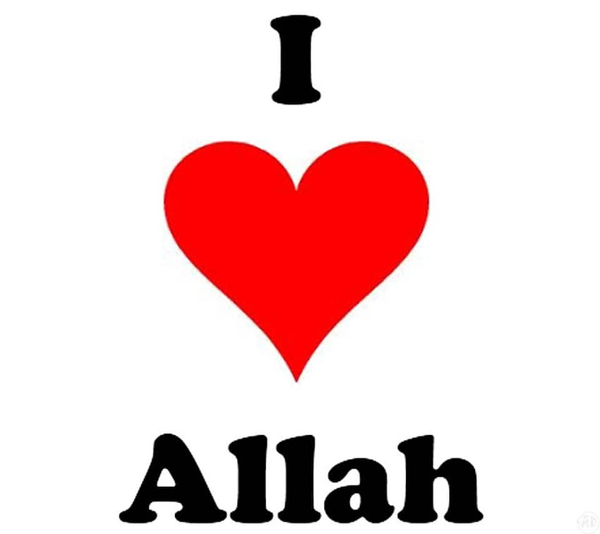 TazDam의 Love Allah, 나는 알라를 사랑합니다 HD 월페이퍼