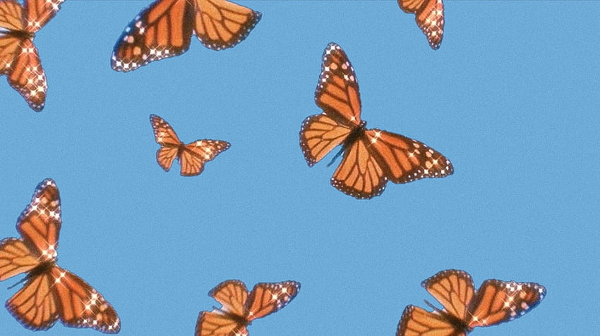 сладка естетика em 2021, естетична пеперуда HD тапет