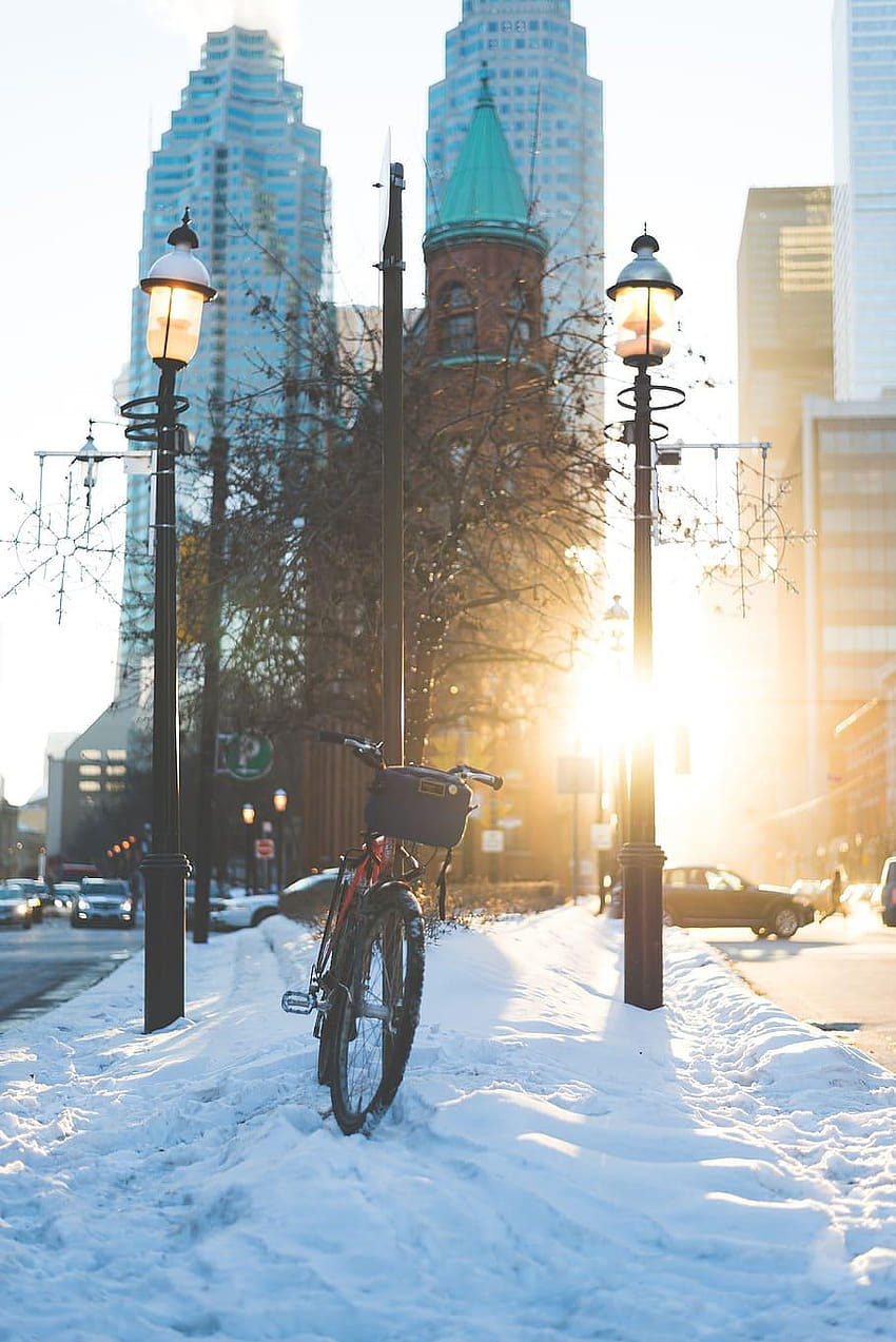 Toronto Winter, winter skyline HD phone wallpaper