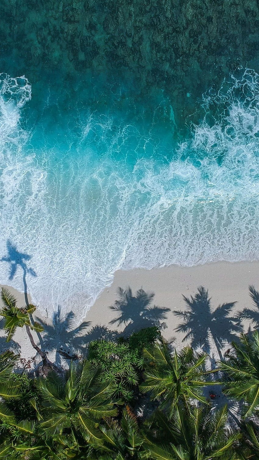 Beautiful beach aerial view palm trees sea 1080x2160, phone palm beach HD phone wallpaper