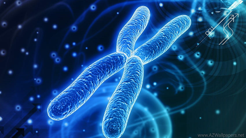 染色体 DNA パターン 遺伝的 3 d サイケデリック、 高画質の壁紙